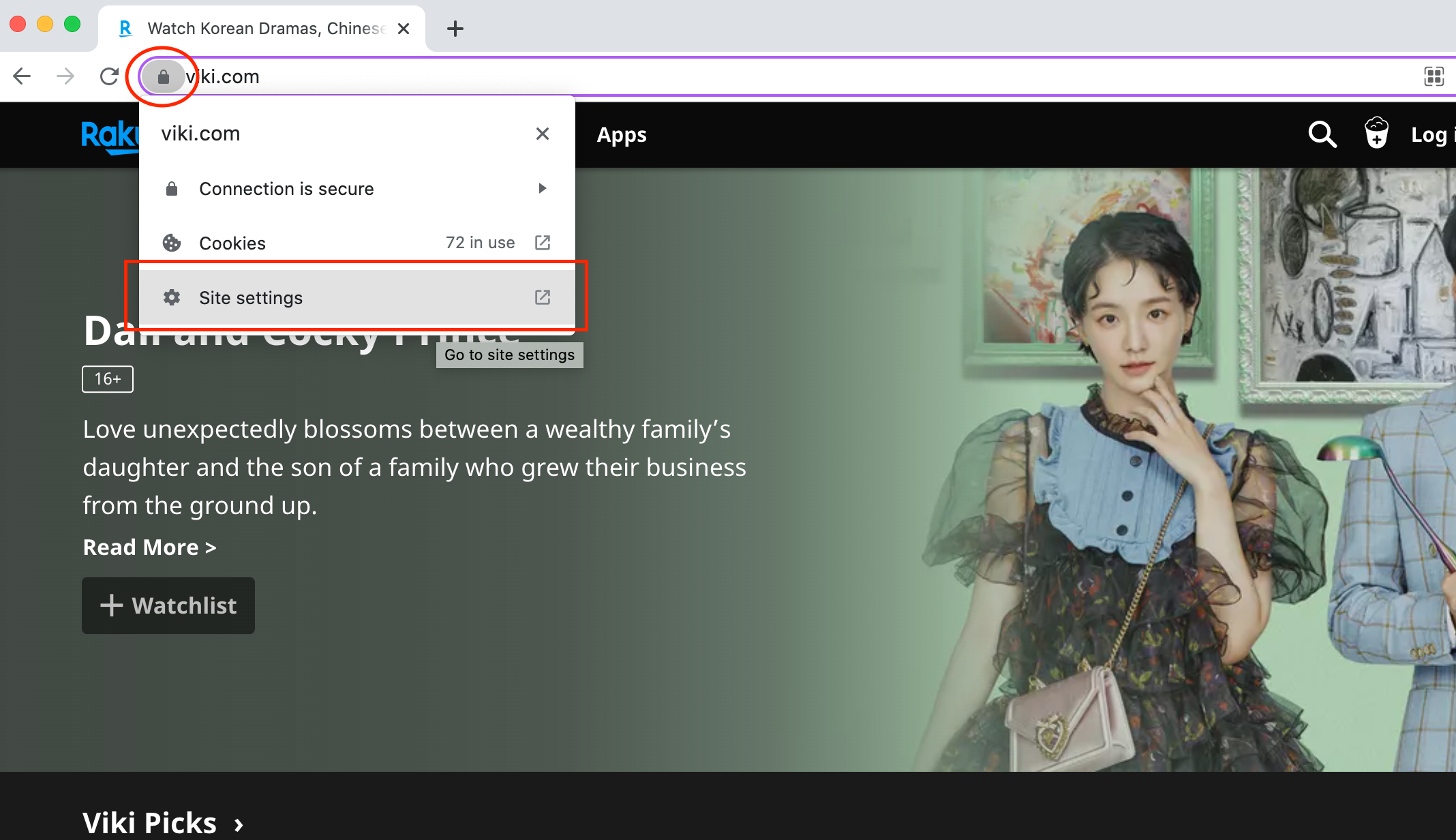 Chrome_Adblock.png
